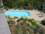 View of pool from deck.jpg