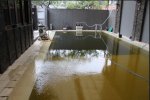 Day 3 - 2nd August 6-30AM Algae war maxed out - 4+ hours after super chlorination.JPG