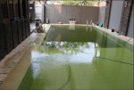 Day 3 - 2nd August 4PM Algae war completed - filters removing algae - 14 hours after super chl...JPG