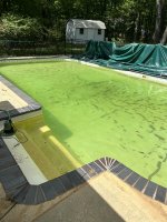4.15.23 Pool Uncovered.jpg