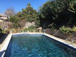 Nelson Pool Full Sun Plaster 2-2016 3.jpg