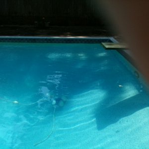 pool July 22_2.JPG