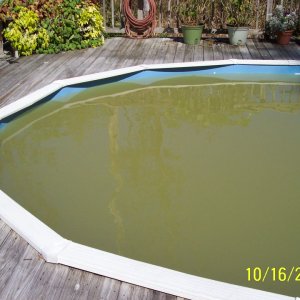 dirty pool.jpg