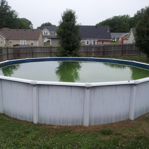 pool (800x600).jpg