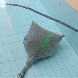 Day 4 - 4-20PM- Slime Bag Dirtier aka working - 38 hours after super chlorination.JPG