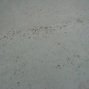 rust stain (Medium).JPG