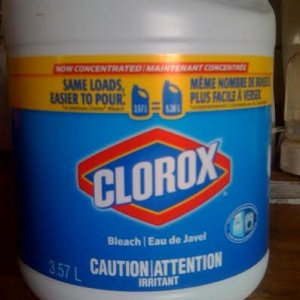 Clorox Bleach Canada.jpg