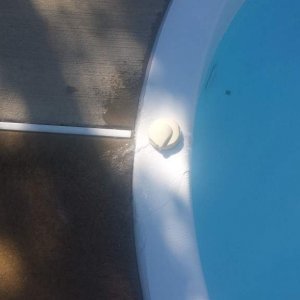 Pool Spa June 2016.jpg