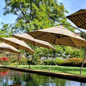 pool-shade-ideas-umbrellas.jpg