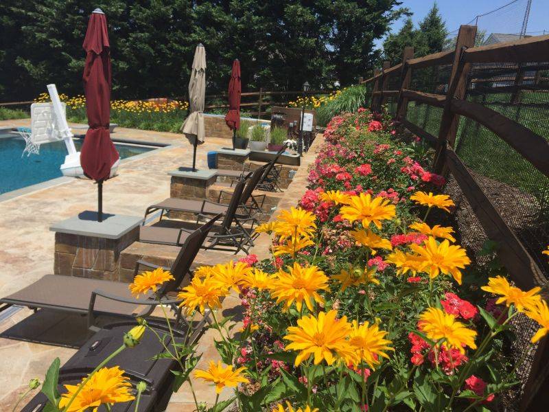 Flowers and seating overlooking a pool