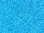 clear wtih pollen.jpg