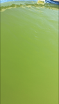4EB8A558-DE41-4D05-B293-EF6B84610E5F.png