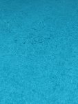 20190905_154842.jpg