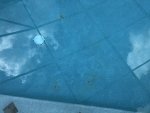 IMG_6336.jpg IMG_6336.jpg