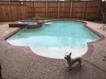 Pool-from-house.jpg Pool-from-house.jpg