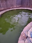 Green Pool.jpg