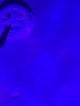 7E1BA9E0-CD75-4C02-B840-E647D86B7285.jpeg