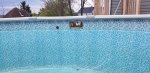 20200429_165817.jpg