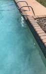 IMG_6768-2.jpeg