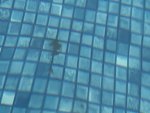 62072D6B-9A09-44CF-A278-33EAECC666E0.jpeg
