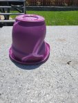 20200507_121845.jpg