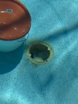 IMG_1810.jpeg
