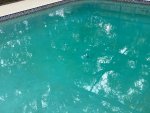 IMG_1896.jpeg IMG_1896.jpeg