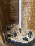 dirtyfilter2.jpg dirtyfilter2.jpg