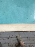 3B643152-C9D7-409A-8B78-304BAFAE9FD8.jpeg