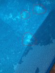 pool4_LI.jpg pool4_LI.jpg