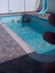 pool2.JPG