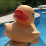 duck.png