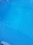 20200702_182510.jpg