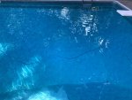 IMG_7104.jpg IMG_7104.jpg