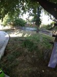 Backyard.jpg Backyard.jpg
