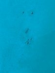 IMG_1564.jpeg