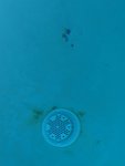IMG_1567.jpeg