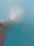 IMG_20200718_163305.jpg