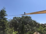 bird_wire_1.jpg bird_wire_1.jpg