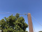 bird_wire_3.jpg bird_wire_3.jpg