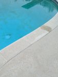 IMG_20200805_074328.jpg