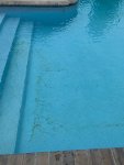 IMG_0903.jpg IMG_0903.jpg
