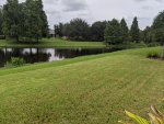 PXL_20200915_193250795.jpg