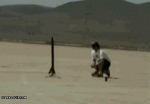 A4628171-873E-4037-BF89-93FEC5601CA4.gif