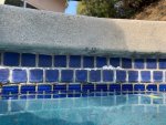 Pool Coping and Tile.jpg