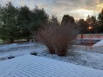 20210106_072624.jpg 20210106_072624.jpg