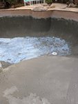 PXL_20210107_201610437.jpg