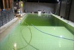 Day 3 - 2nd August 6-30PM Algae war completed - filters removing algae - 16+ hours after super...JPG