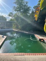 green pool.jpg