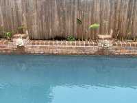 BD4F077A-EDCC-444B-9ABA-86B7D22DE27D.jpeg